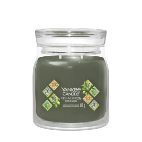 Sviečka Yankee Candle - OLIVE CYPRESS, stredná
