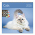 Nástenný plánovací kaléndár 2026 Cats