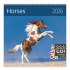 Nástenný plánovací kaléndár 2026 Horses