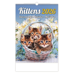 Nástenný kalendár 2026 Kittens/Katzenbabys/Koťátka/Mačičky