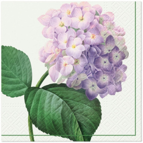 Obrúsky PAW L 33x33cm Vintage Hydrangea