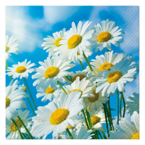 Obrúsky TaT 33x33cm Sun Daisies Obrúsky TaT 33x33cm Sun Daisies