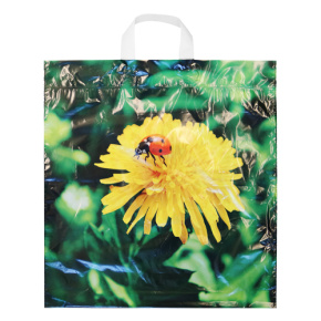 Taška LDPE s ušami 42x47 cm, Púpava