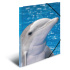 Doska s gumičkou PP A3 Delphins