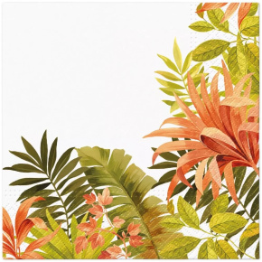 Obrúsky PAW L 33x33cm Exotic Frame
