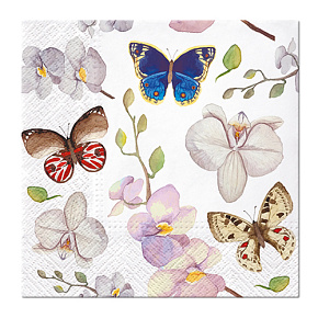 Obrúsky PAW L 33x33cm Orchidea Butterfly - motýľ