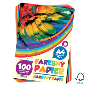 Farebný papier A4 80g 100 listov/10 farieb