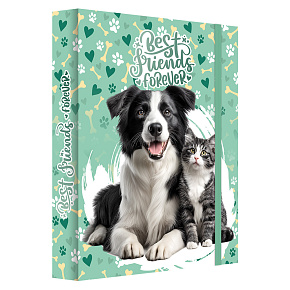 Box na zošity A4 Jumbo MAX JUNIOR S9 - Best Friends Forever
