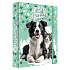 Box na zošity A4 Jumbo MAX JUNIOR S9 - Best Friends Forever