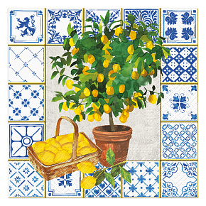 Obrúsky PAW L 33x33cm Citrus tree
