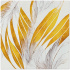 Obrúsky PAW AIRLAID 40x40 cm - Angel Feathers