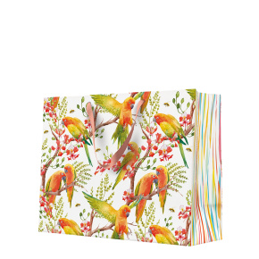 Darčeková taška horizontal 33,5x26,5x13 cm Exotic Birds