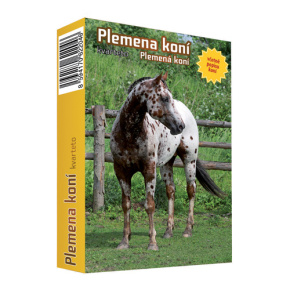 Karty hracie - Kvarteto - Plemená koní