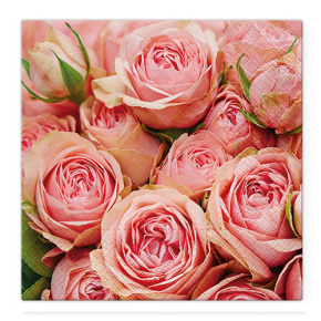 Obrúsky TaT 33x33cm Lots of Roses
