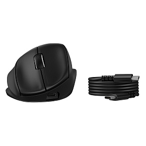 HP myš - 725M Capacitor Tilt Ergonomic Mouse HP myš - 725M Capacitor Tilt Ergonomic Mouse