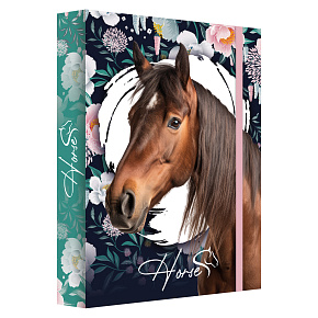 Box na zošity A4 Jumbo MAX Horse - kôň