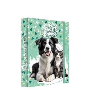Box na zošity A5 Jumbo MAX JUNIOR S9 - Best Friends Forever