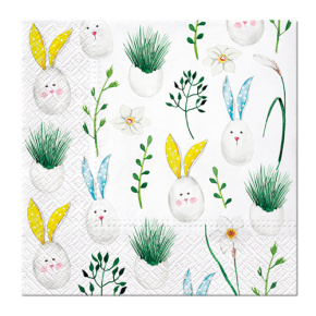 Obrúsky PAW L 33x33cm Rabbit Eggs