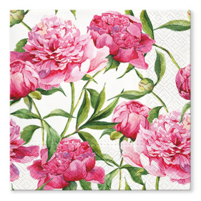 Obrúsky TaT 33x33cm Pink Peonies