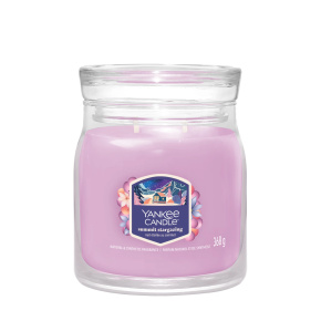 Sviečka Yankee Candle - SUMMIT STARGAZING, stredná Sviečka Yankee Candle - SUMMIT STARGAZING, stredná