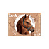 Obal PP s patentkou A5, Lovely Horse - kôň