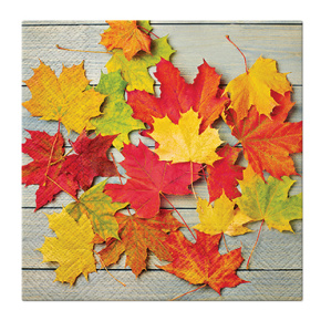 Obrúsky PAW L 33x33cm Leaves on Wood