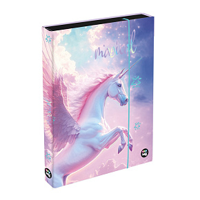 Box na zošity A4 JUMBO - Pegas